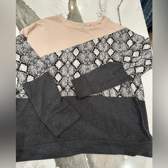 Evereve Allison Joy Theo Snake Colorblock Sweatshirt - Picture 5 of 6